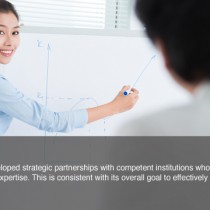 Strategic Partners